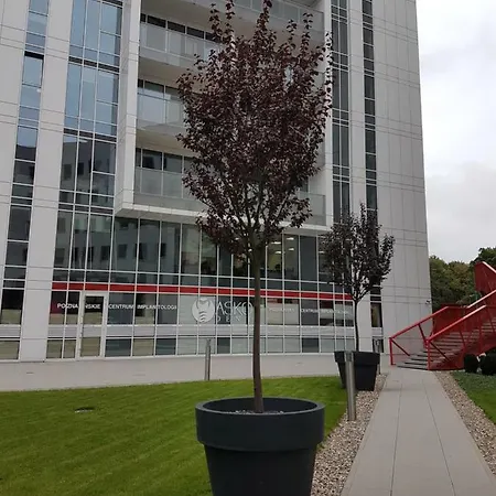 Towarowa 37 Apartment